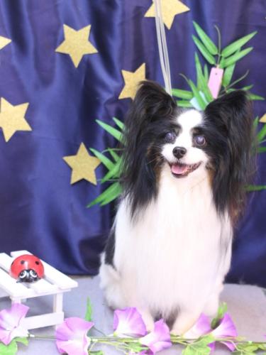 20230729ととくん